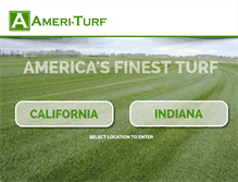 Tablet Screenshot of ameri-turf.com